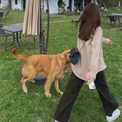 犯罪记录